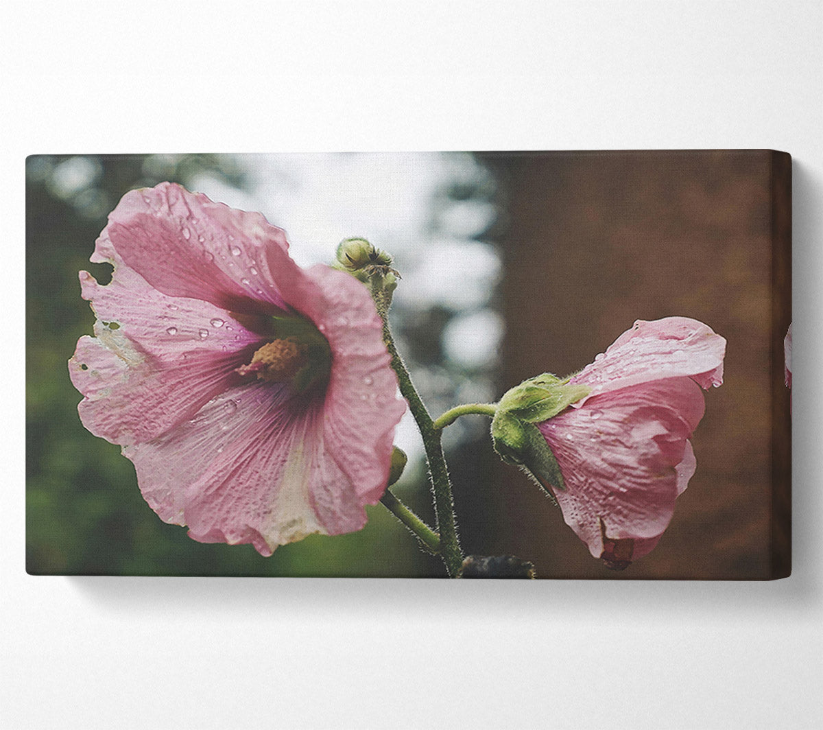 Pink Flower Droplets Canvas Wall Art