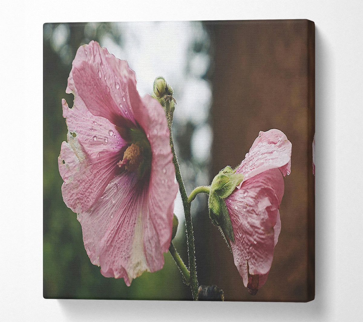 Pink Flower Droplets Canvas Wall Art