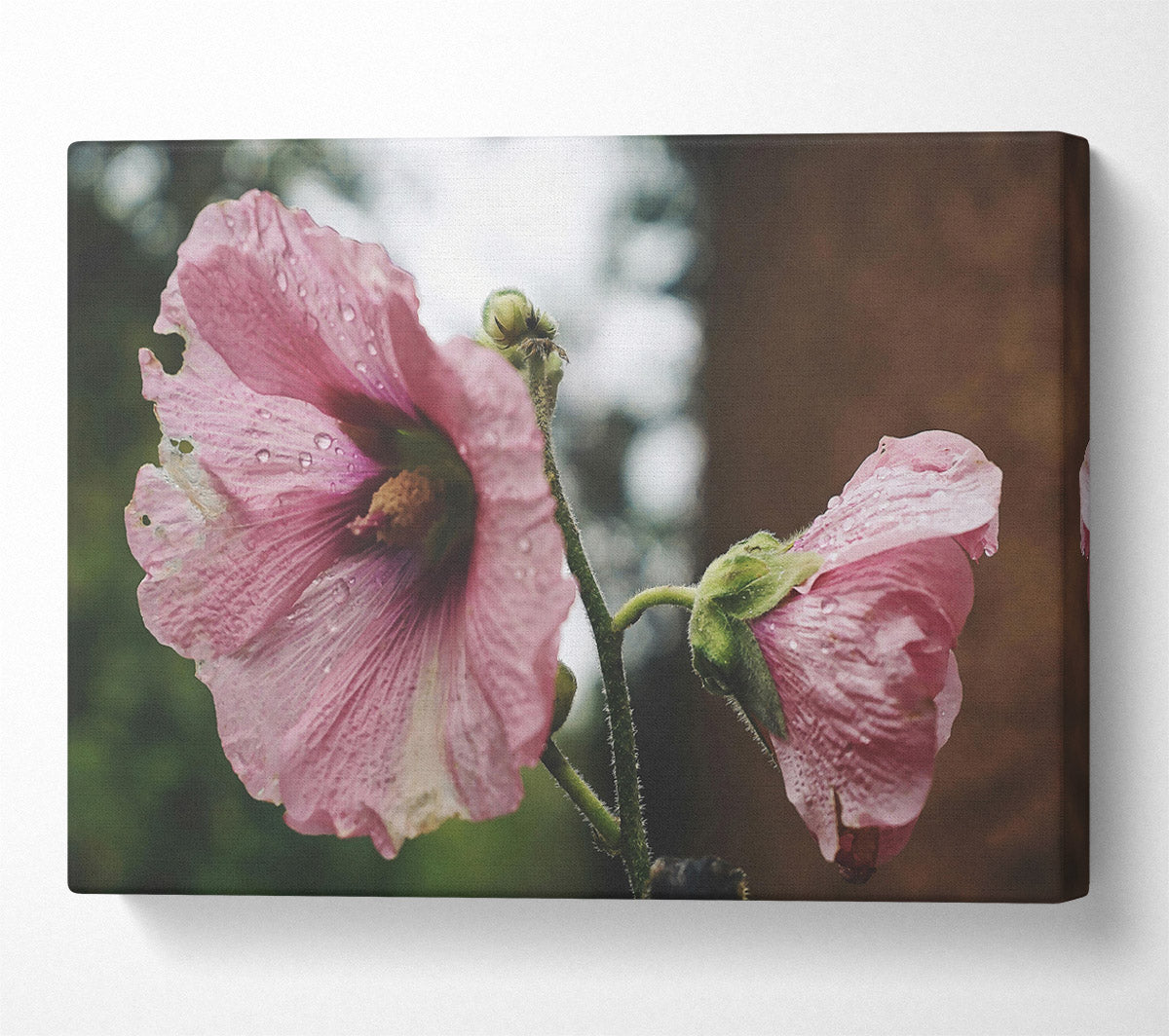Pink Flower Droplets Canvas Wall Art