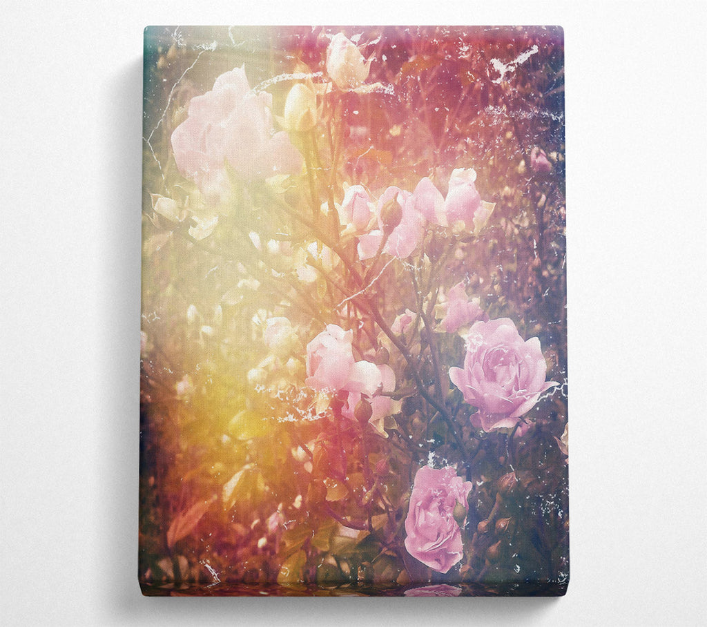 Soft Pink Blooms Canvas Wall Art