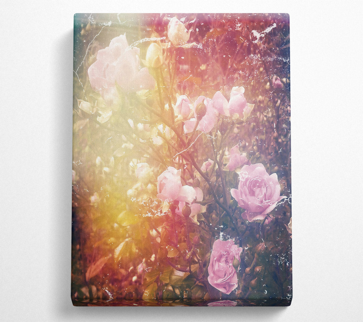 Soft Pink Blooms Canvas Wall Art