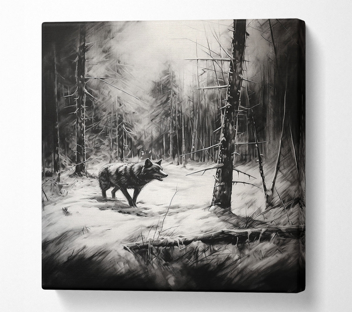 White Shadows, Lone Wolf Canvas Wall Art