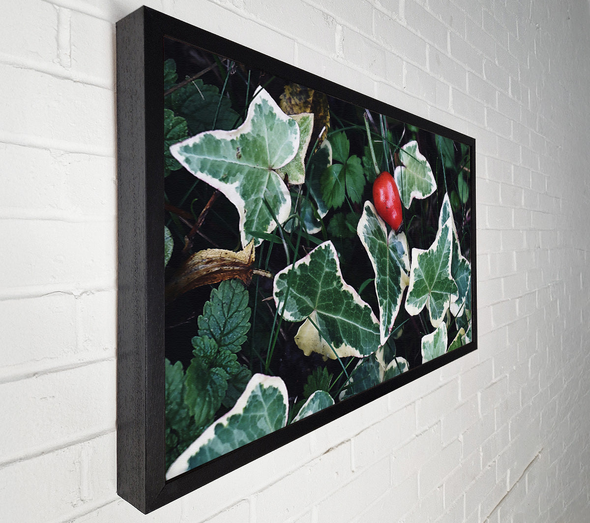 Red Among Green Leaves Canvas Wall Art
