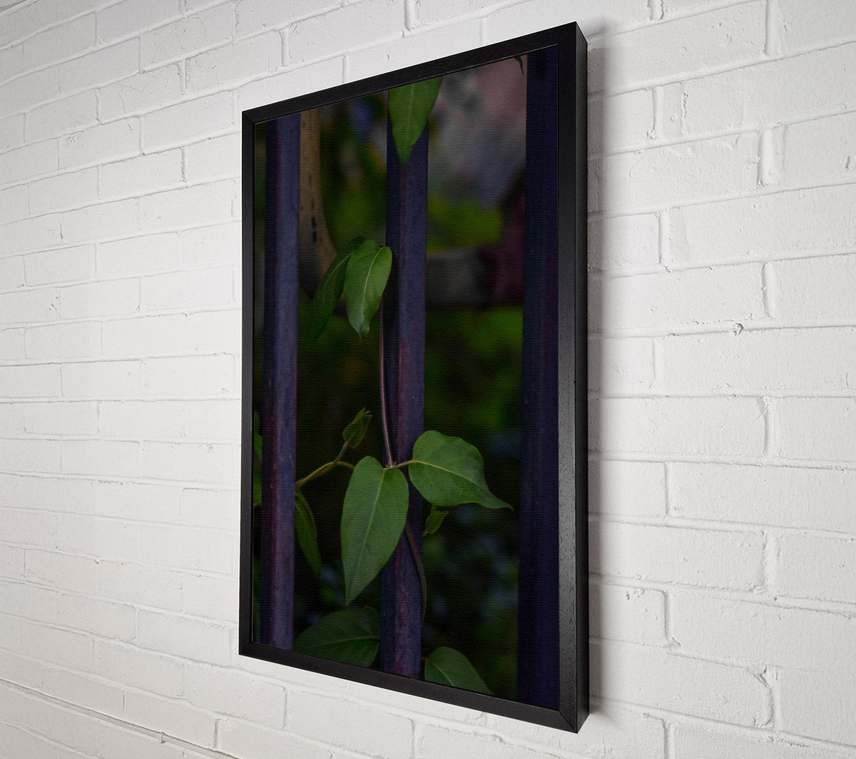 Purple Vines Reaching Up Canvas Wall Art
