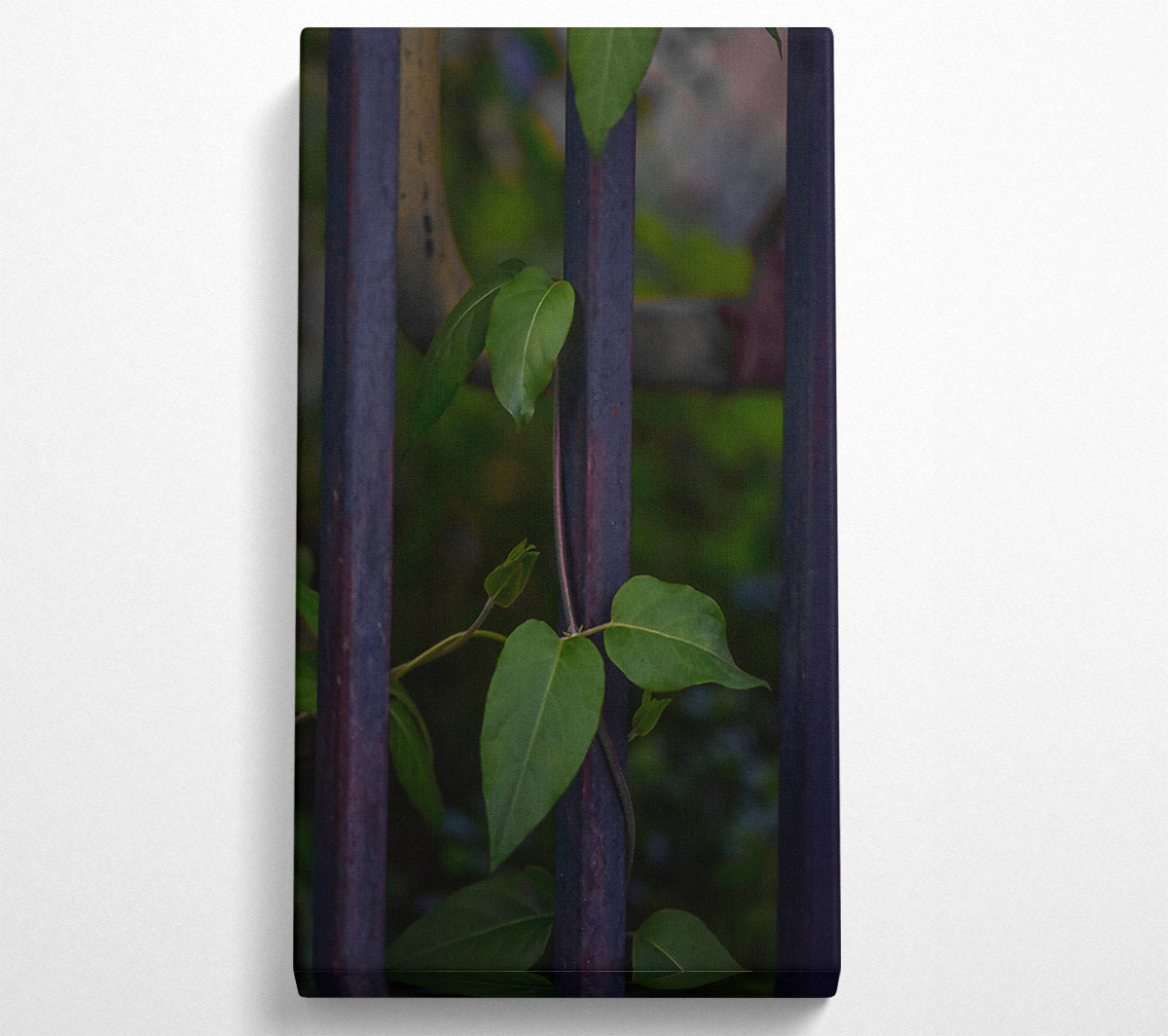 Purple Vines Reaching Up Canvas Wall Art