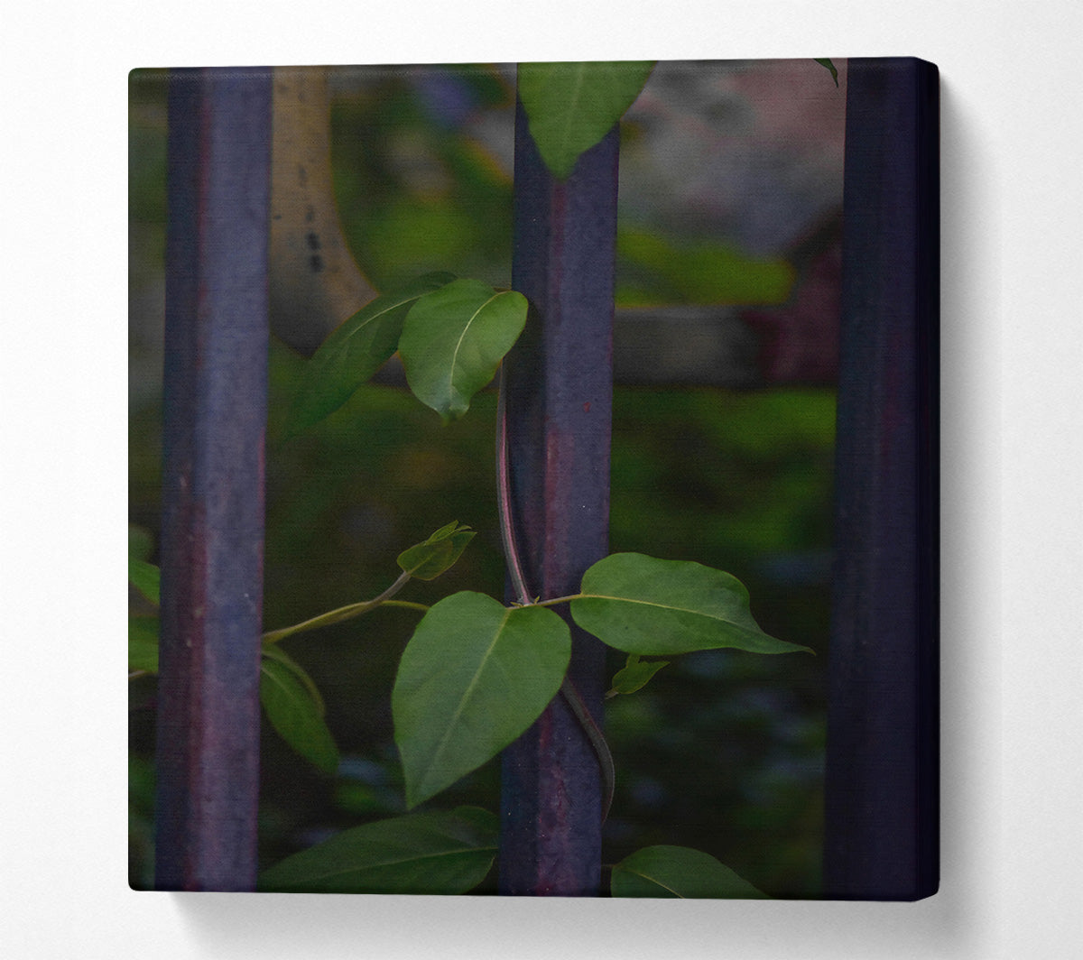 Purple Vines Reaching Up Canvas Wall Art