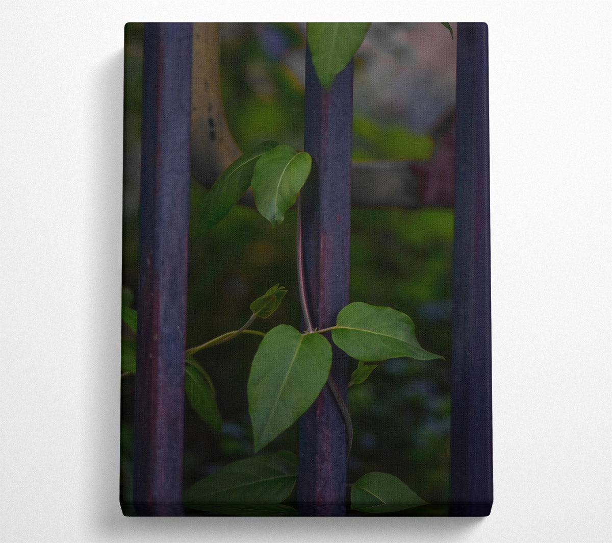 Purple Vines Reaching Up Canvas Wall Art