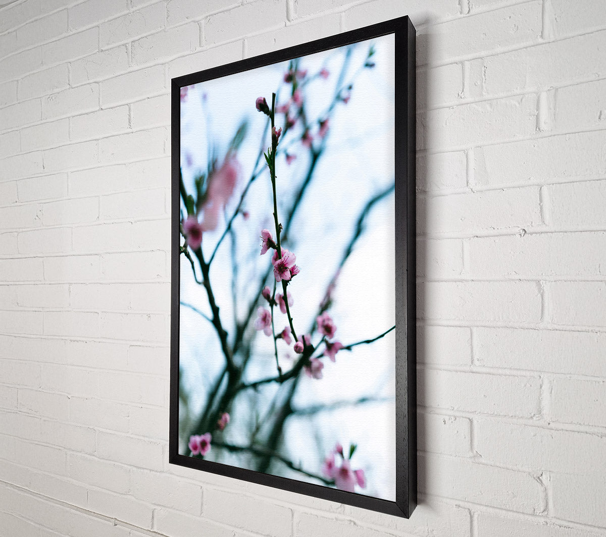 Pink Blossoms In Bloom Canvas Wall Art