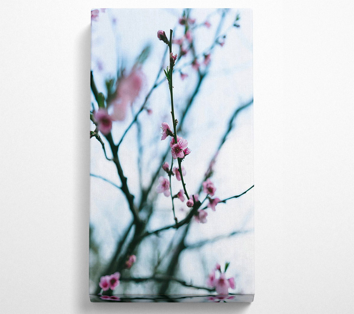 Pink Blossoms In Bloom Canvas Wall Art