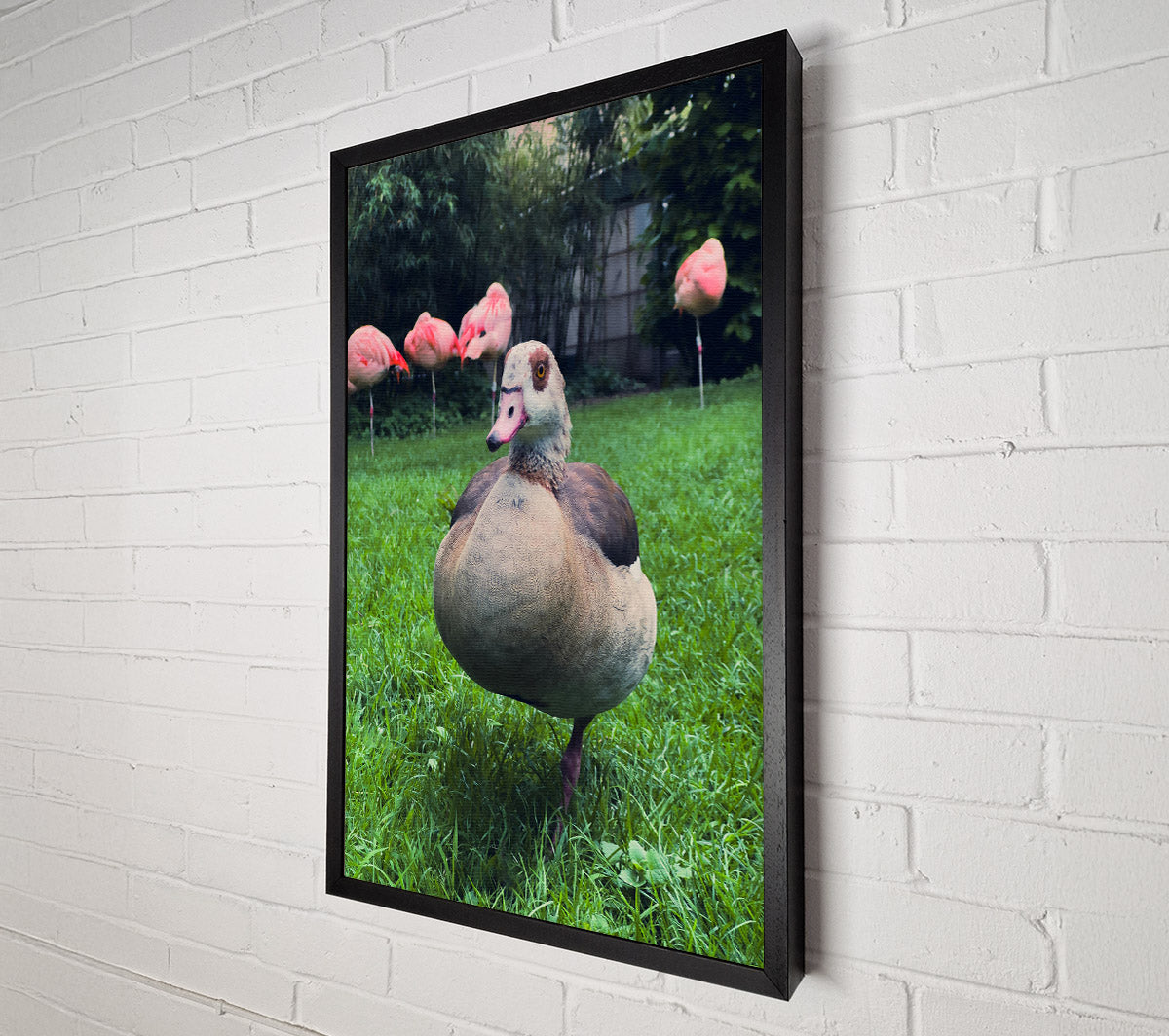 Pink Flamingo'S Friend Canvas Wall Art