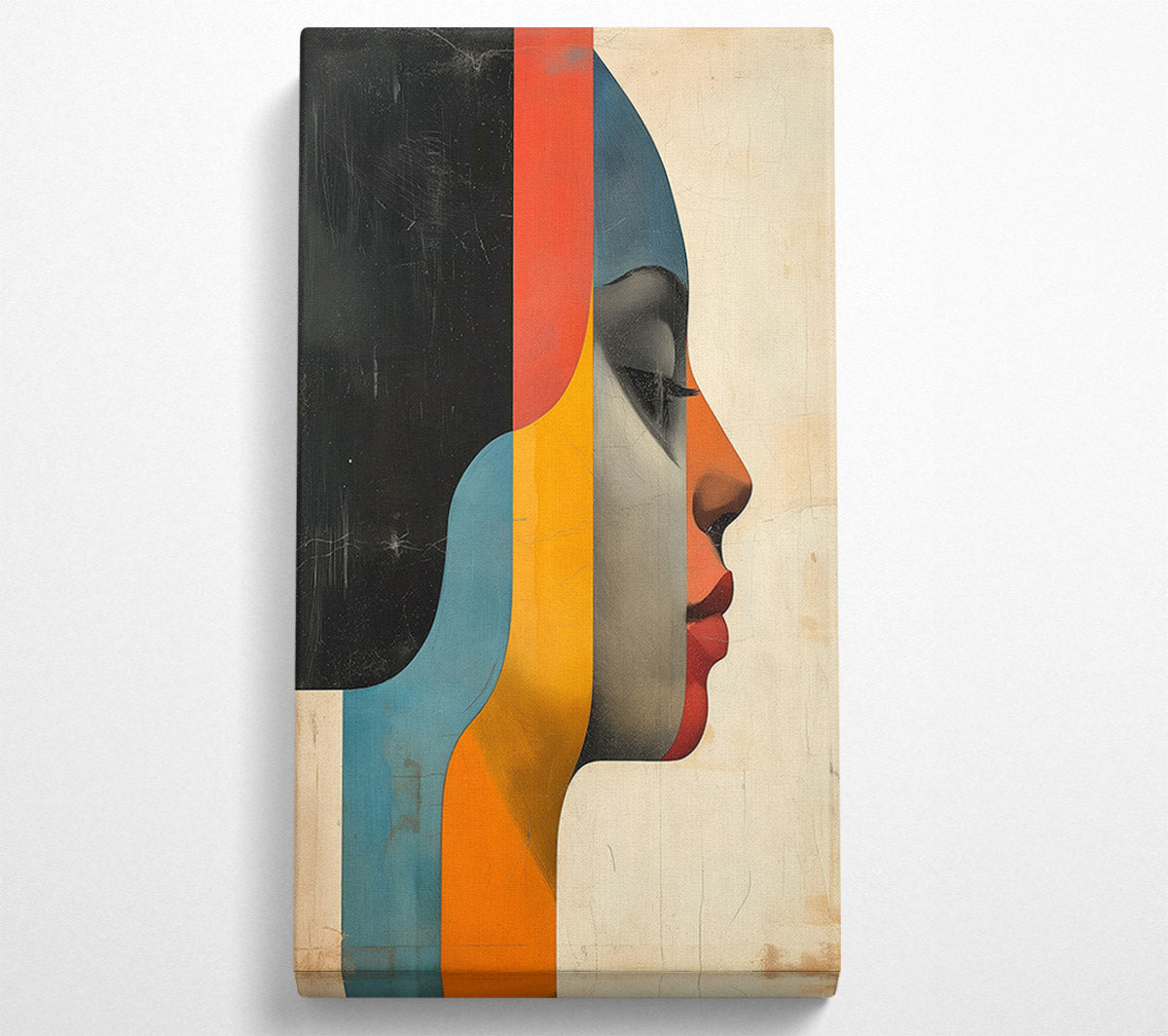 Woman Face Abstract Colour Shapes Canvas Wall Art
