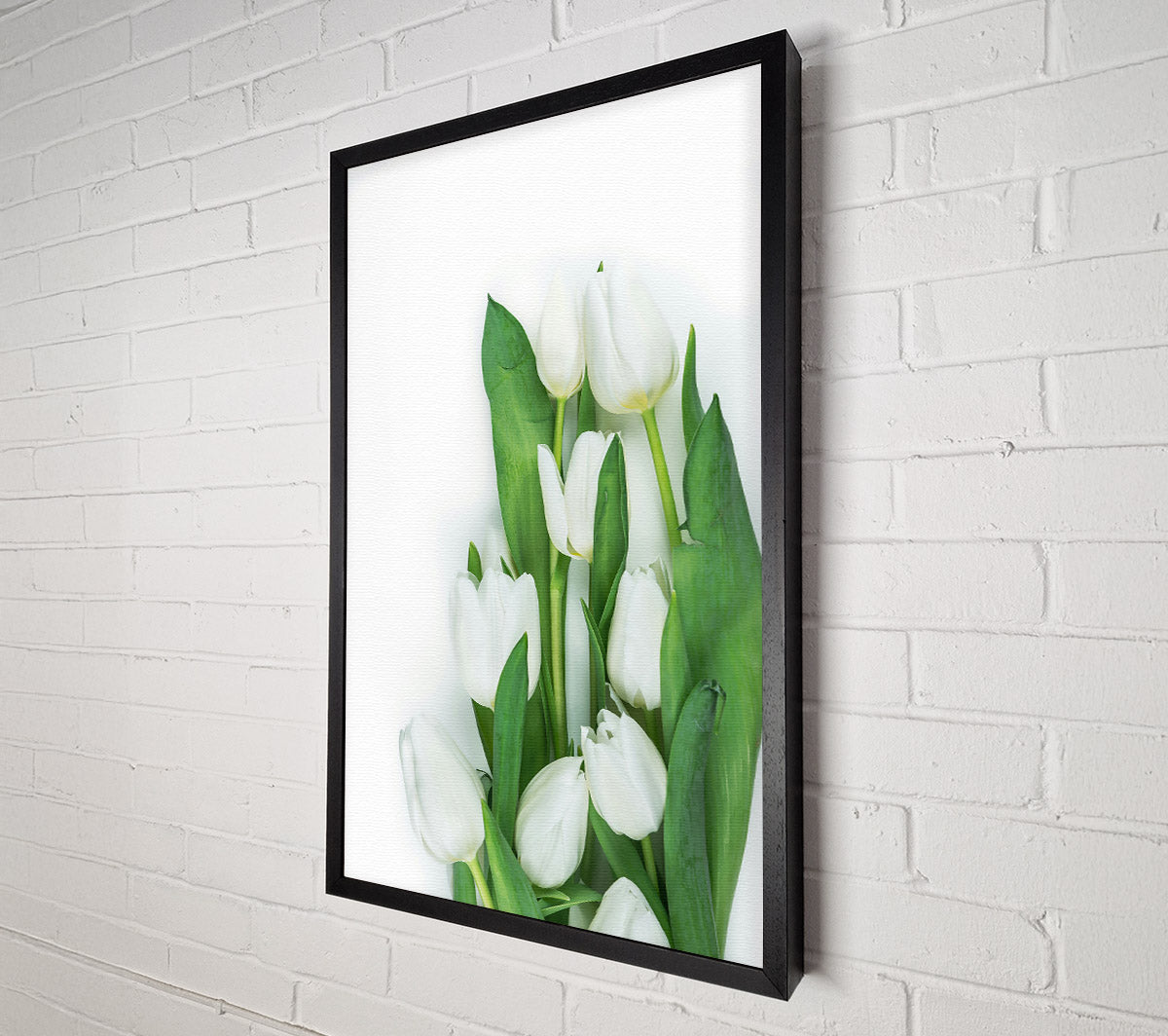 White Tulips In Bloom Canvas Wall Art