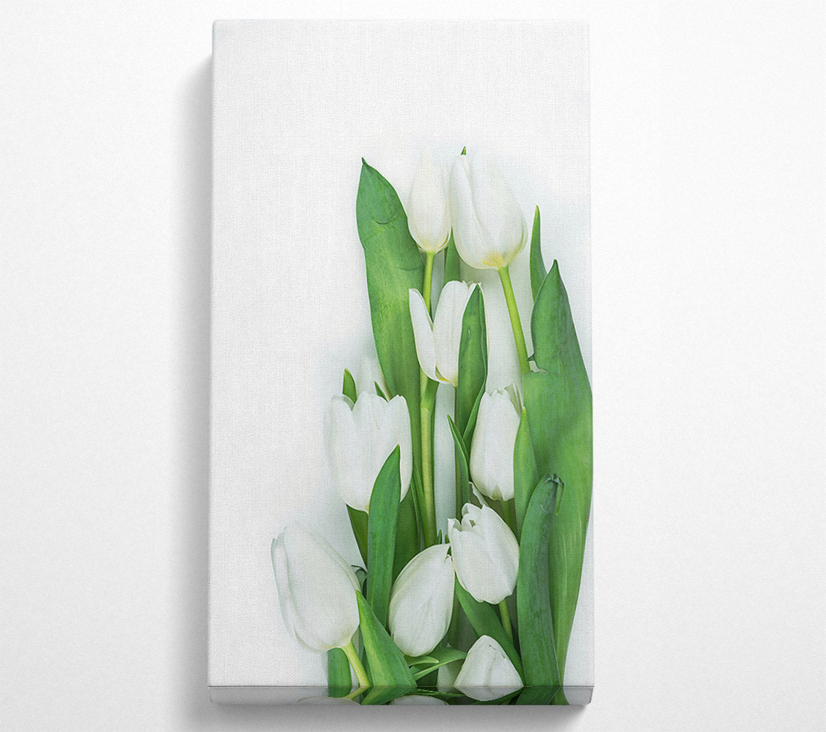 White Tulips In Bloom Canvas Wall Art