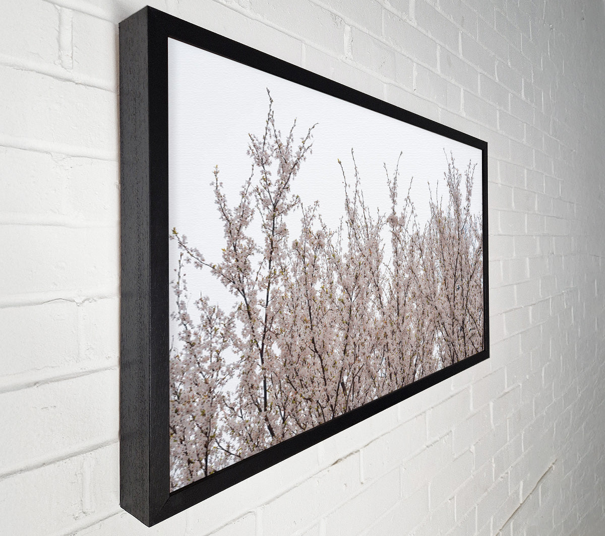 White Blossoms Reaching Up Canvas Wall Art