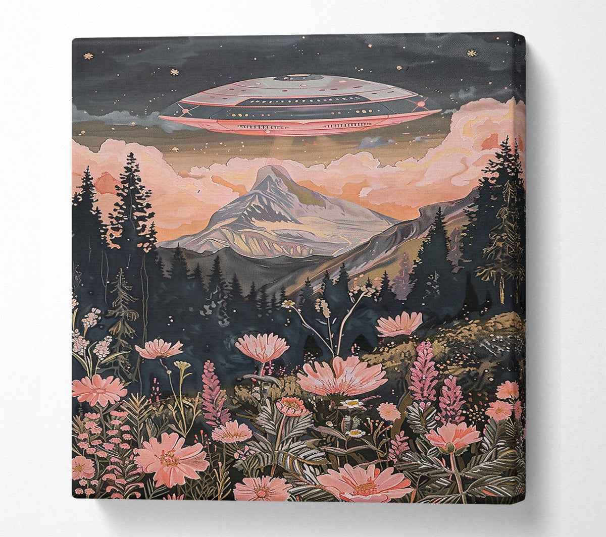 Pink Skies Over Mountains Canvas Wall Art