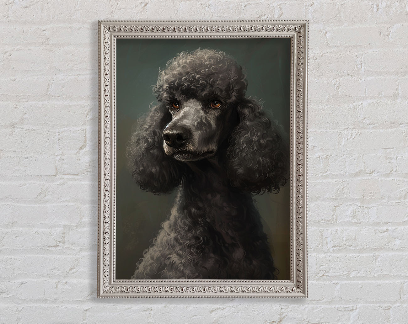 A Poodle Looking Framed Print