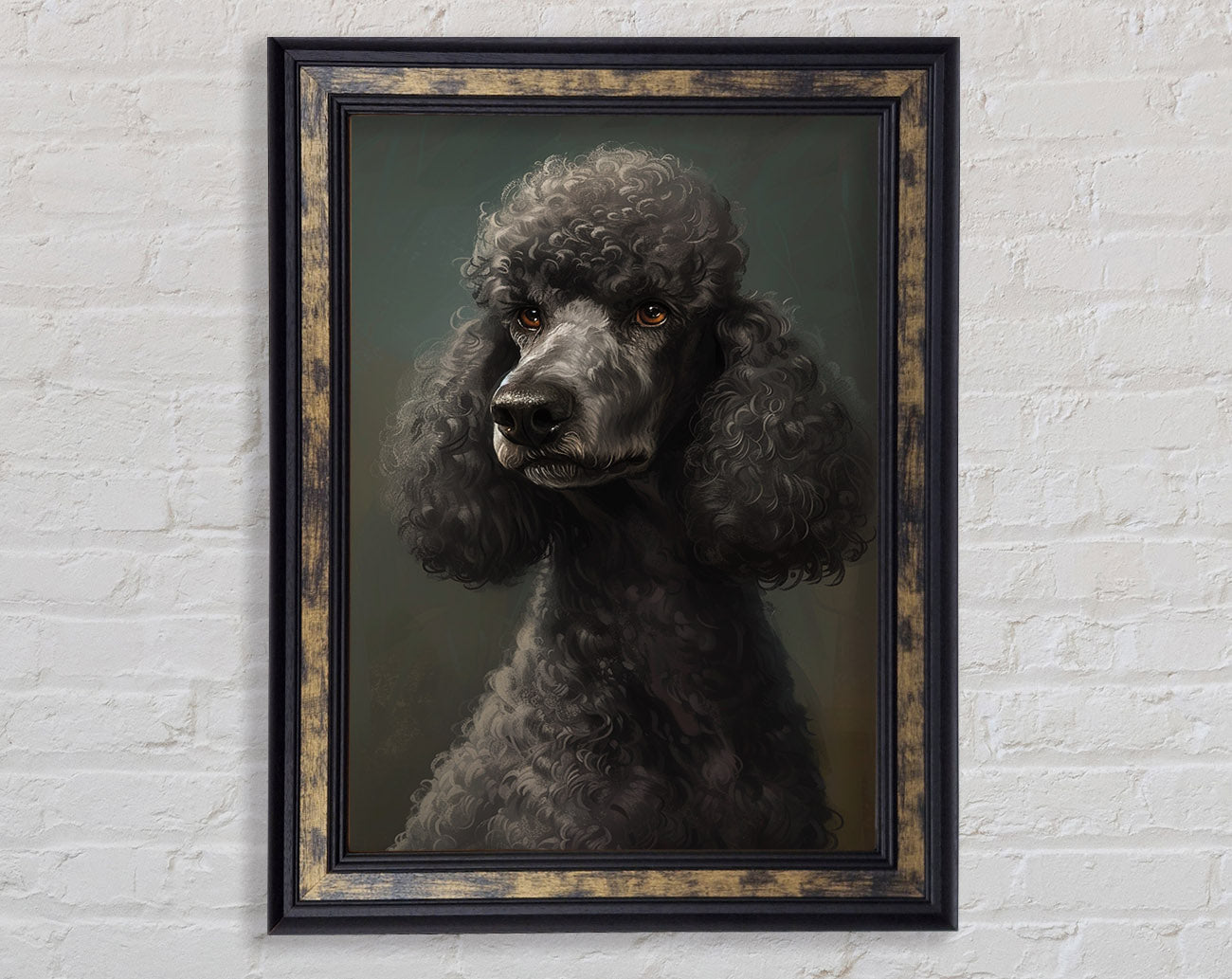 A Poodle Looking Framed Print