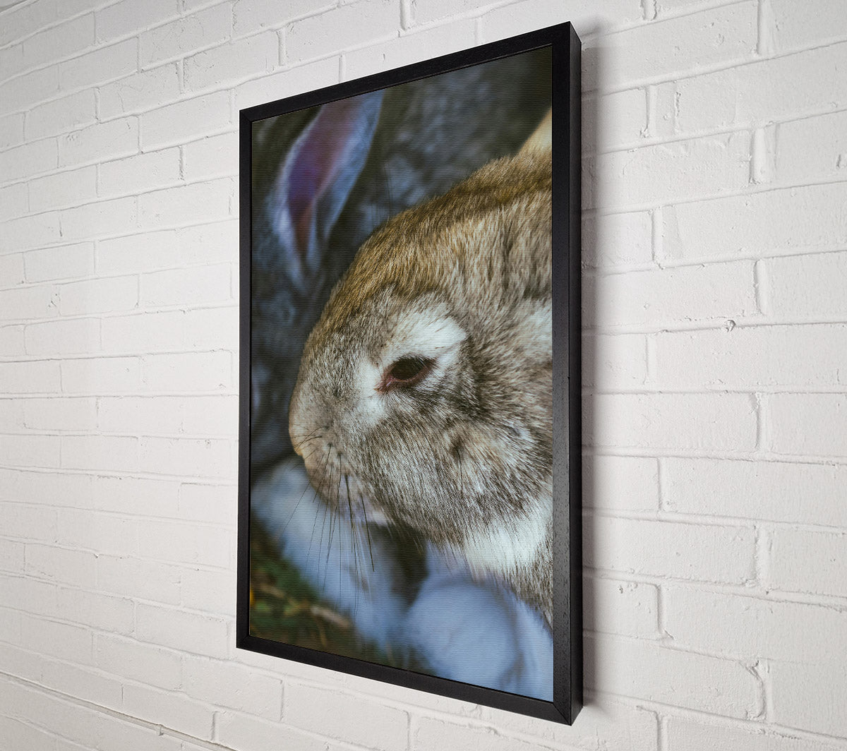 The Grey Snuggle Canvas Wall Art