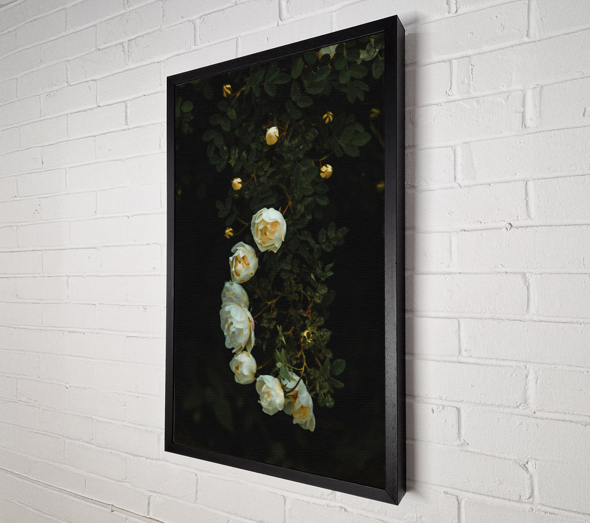 White Blooms In The Dark Canvas Wall Art