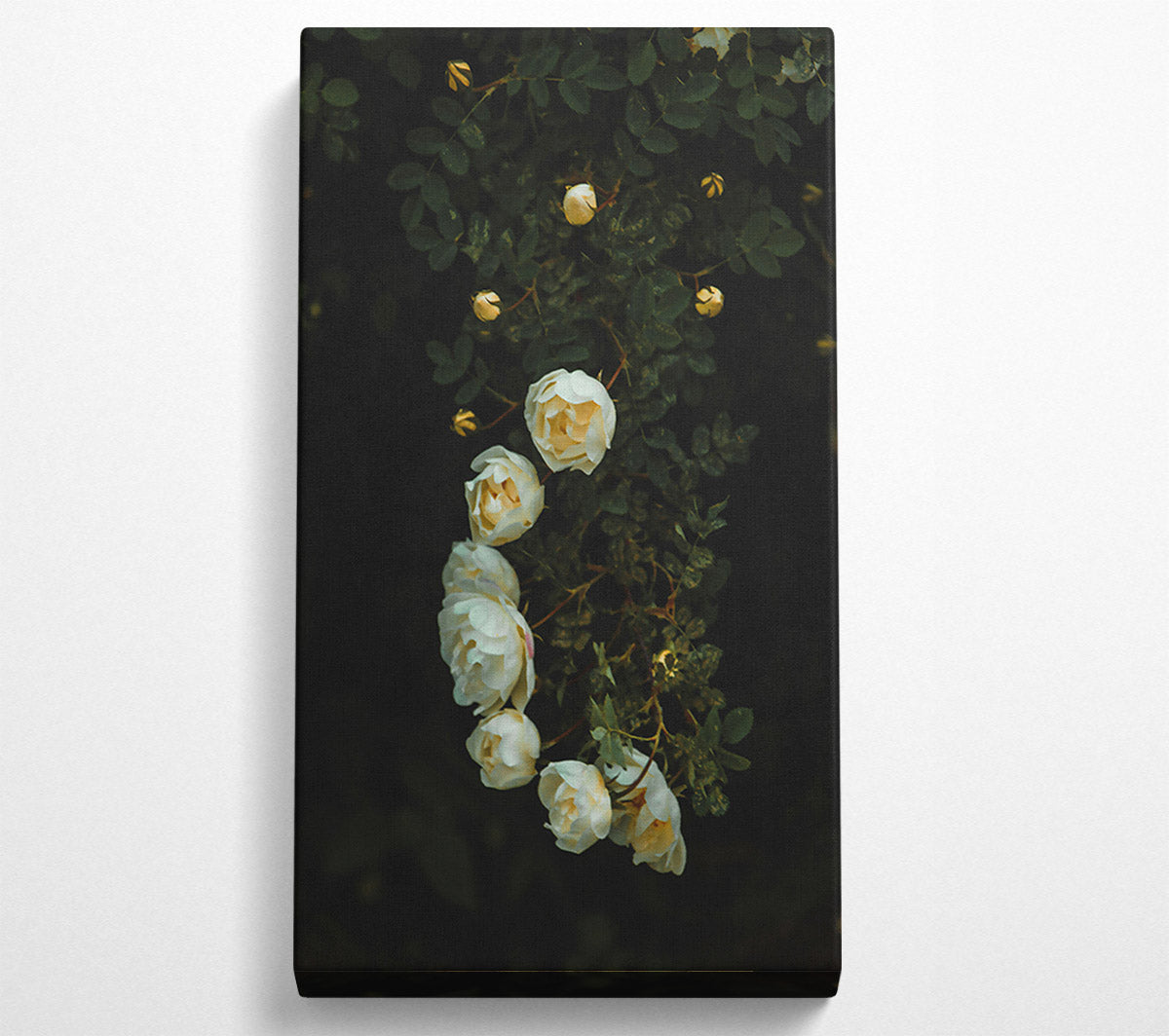 White Blooms In The Dark Canvas Wall Art
