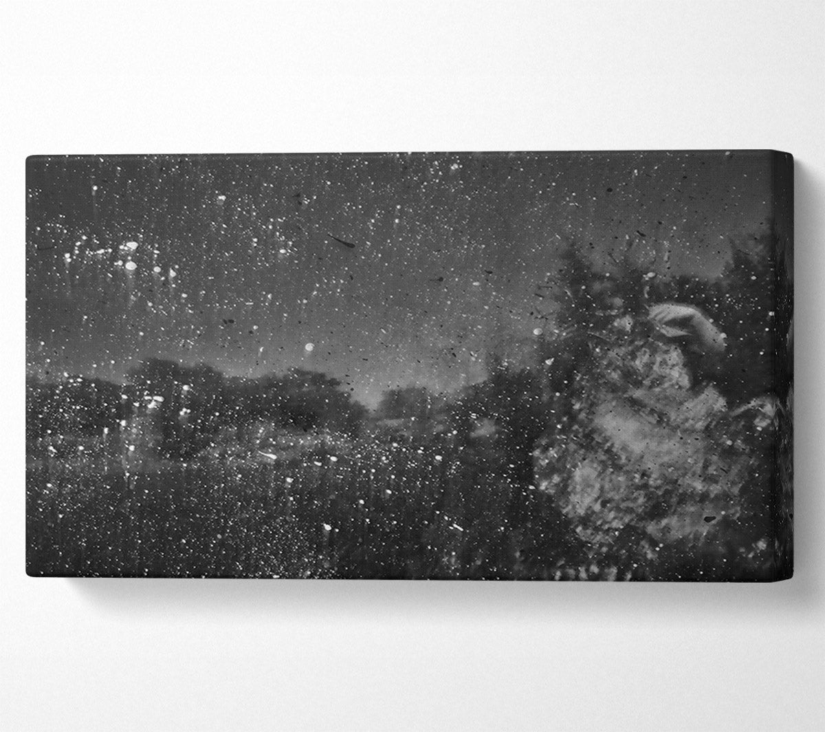 White Specks Of Night Canvas Wall Art