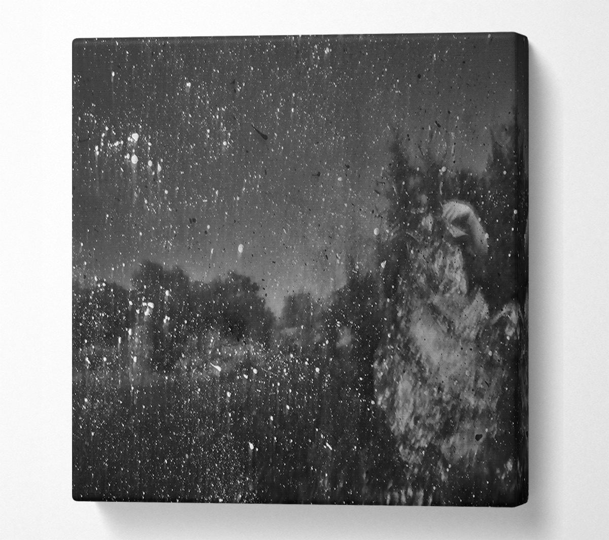 White Specks Of Night Canvas Wall Art