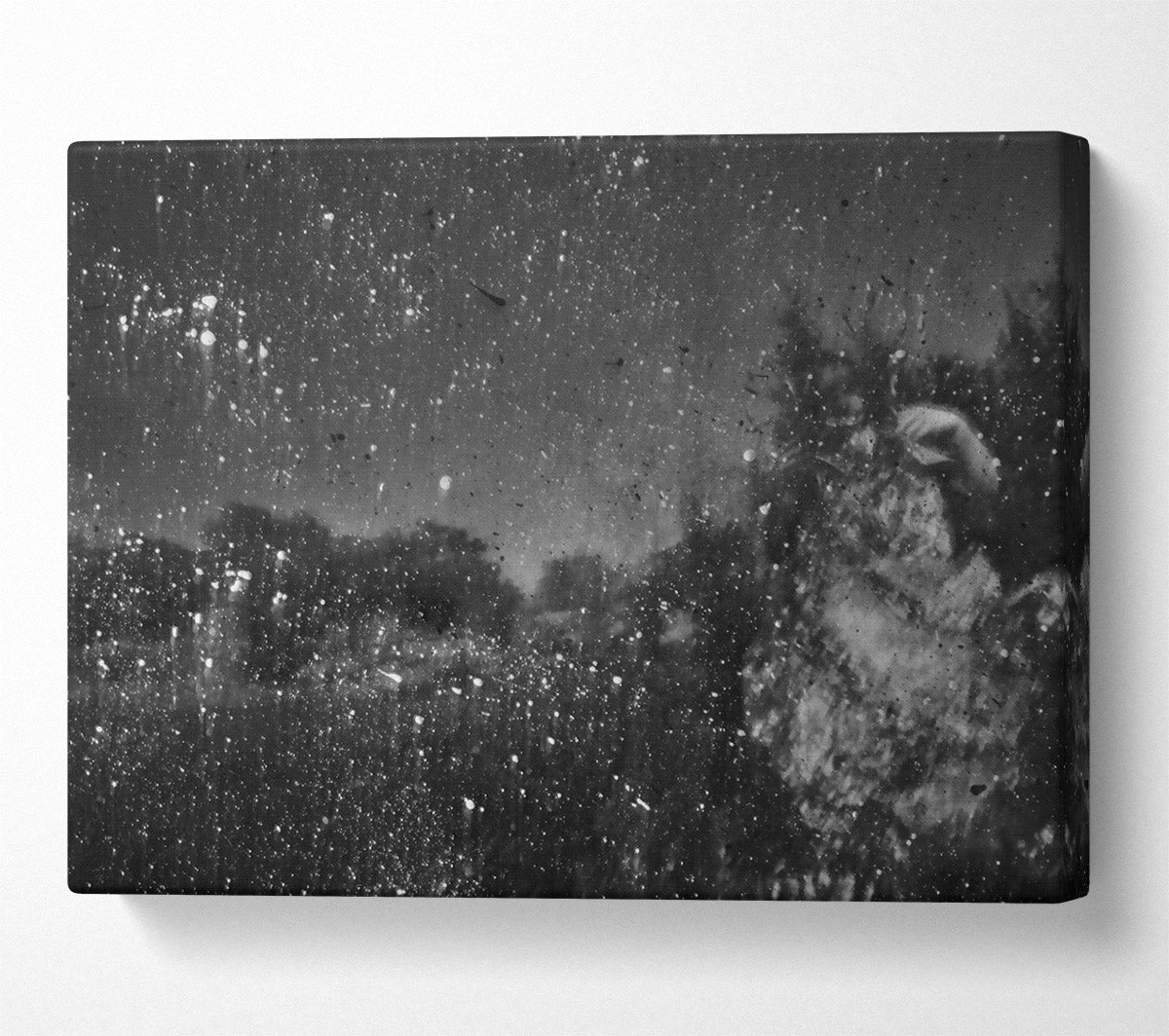 White Specks Of Night Canvas Wall Art
