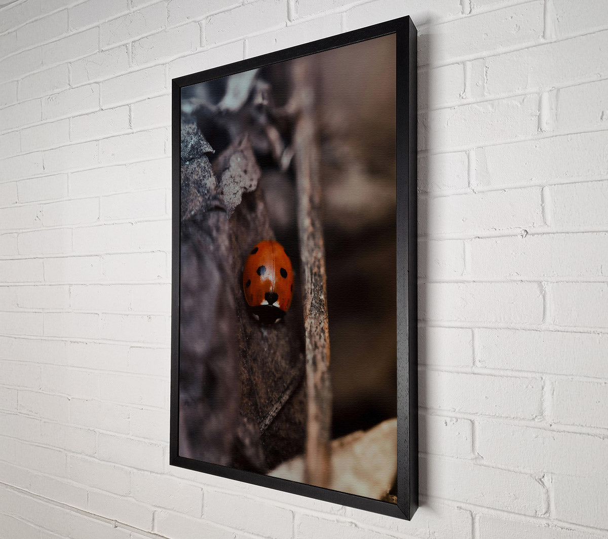 Red Bug In Shadows Canvas Wall Art