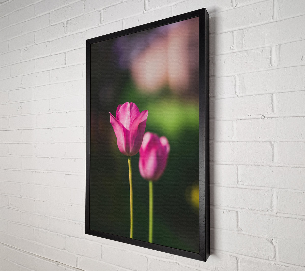 Pink Tulip Bloom Canvas Wall Art
