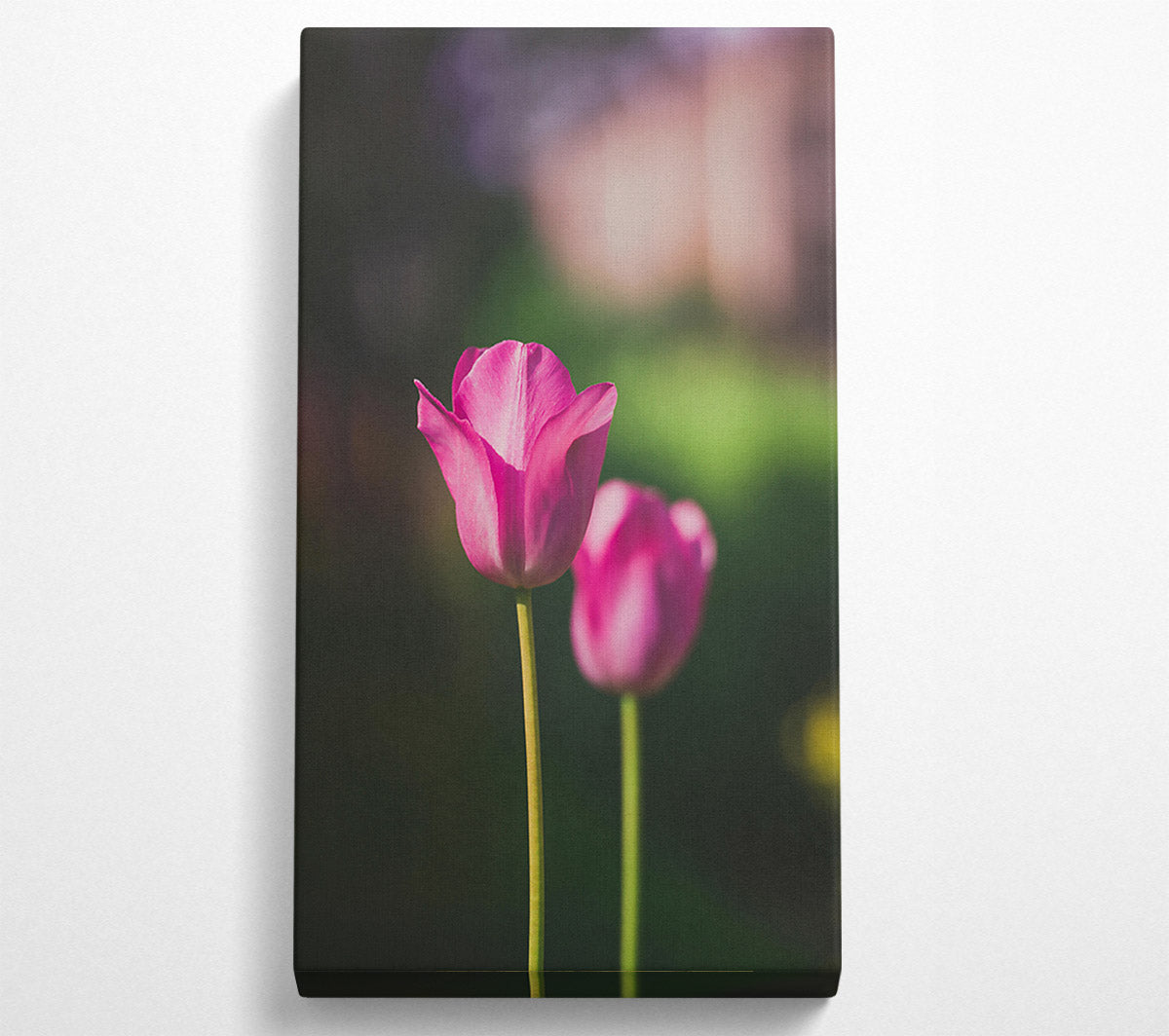Pink Tulip Bloom Canvas Wall Art
