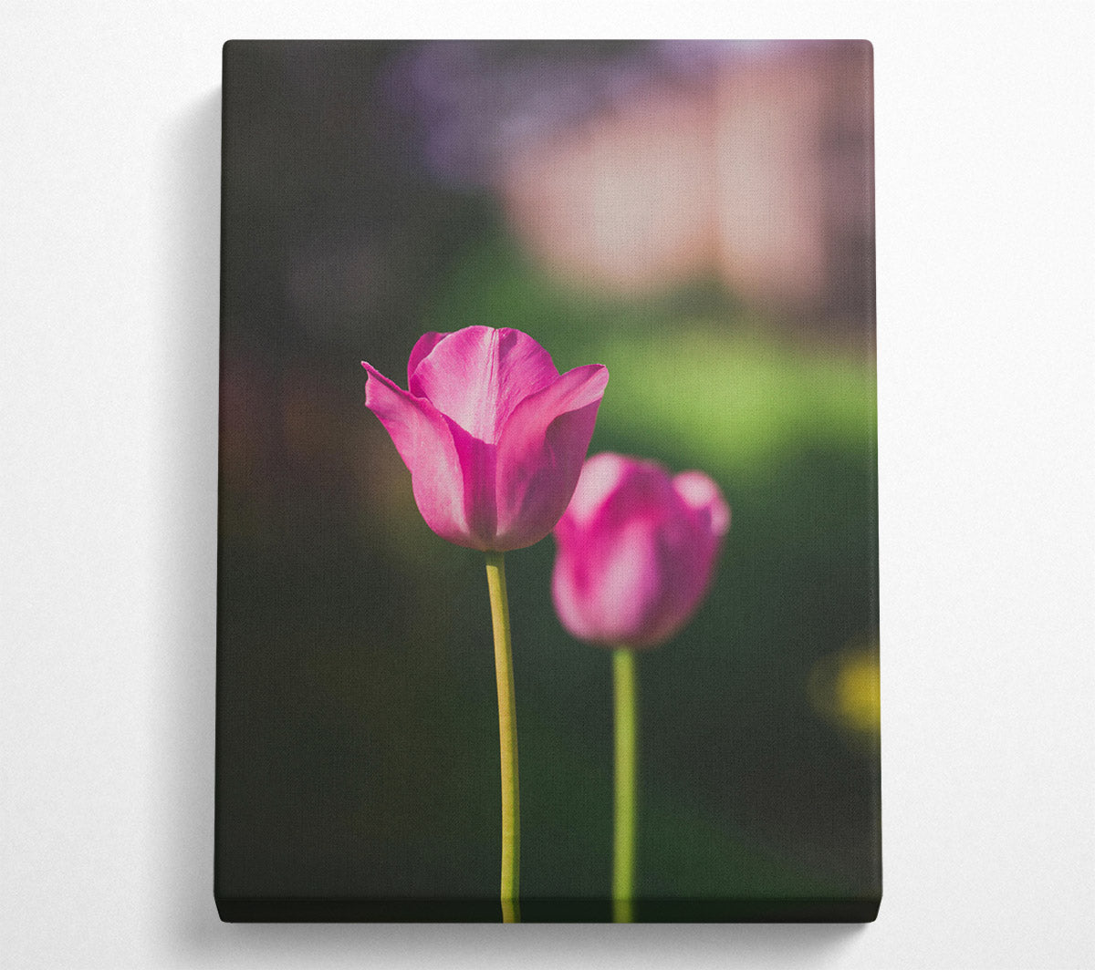 Pink Tulip Bloom Canvas Wall Art