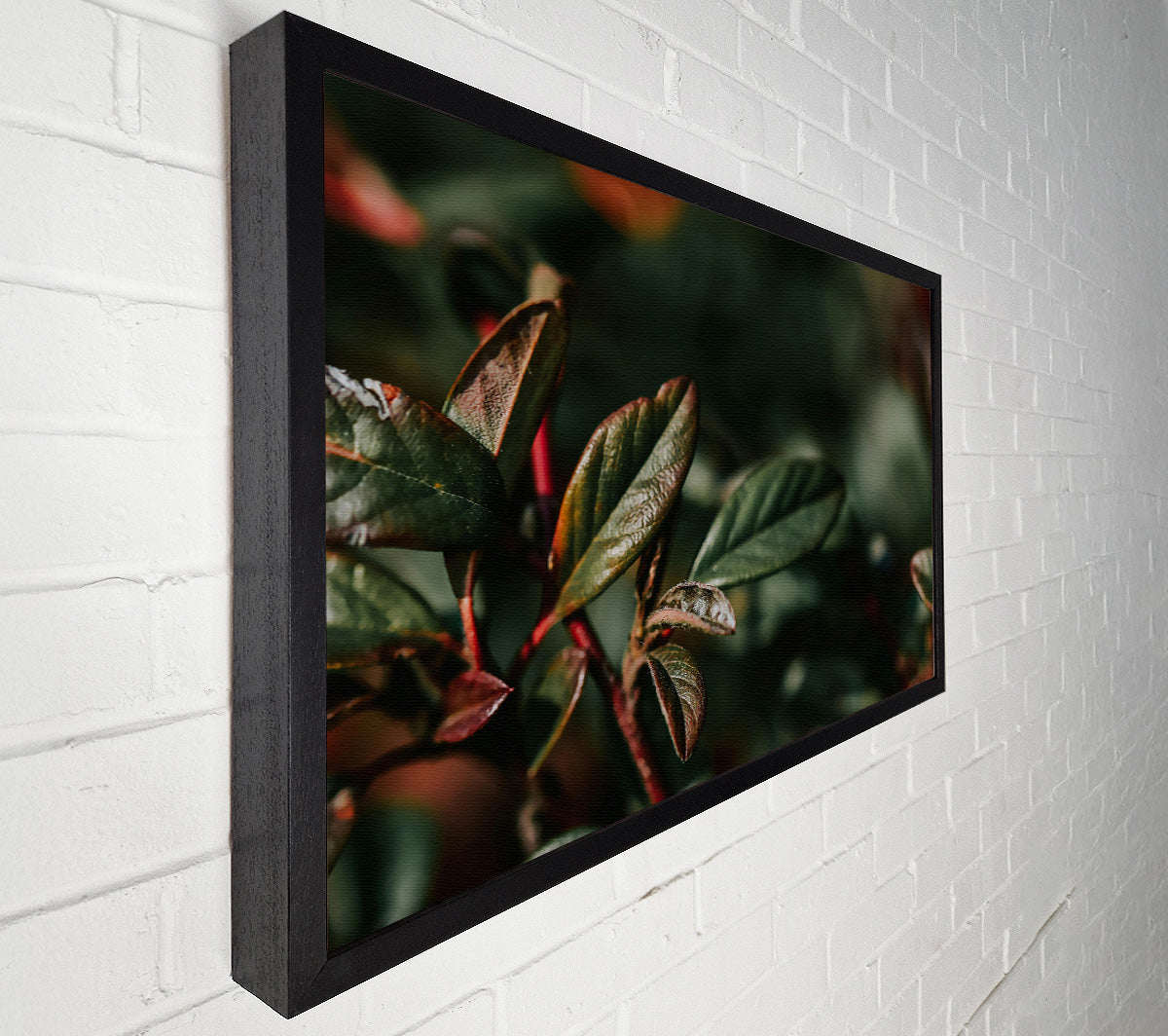 Red Hues Of Green Leaves. Canvas Wall Art