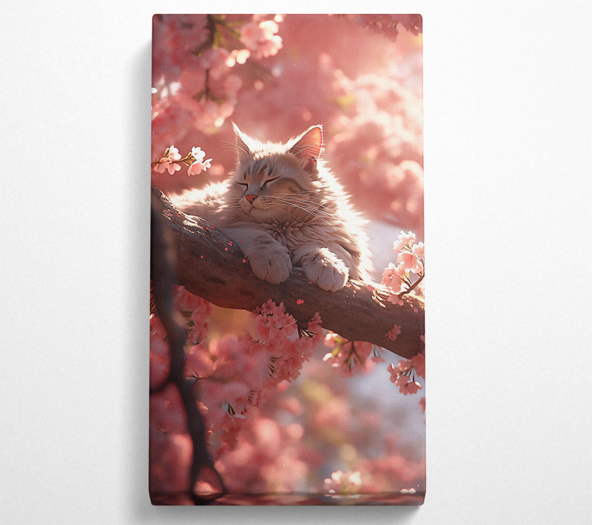 Pink Blossom Slumber Canvas Wall Art
