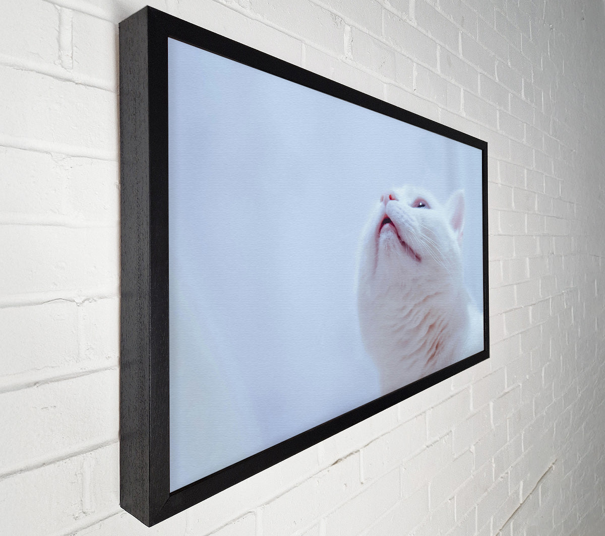 Whimsical White Gaze Canvas Wall Art