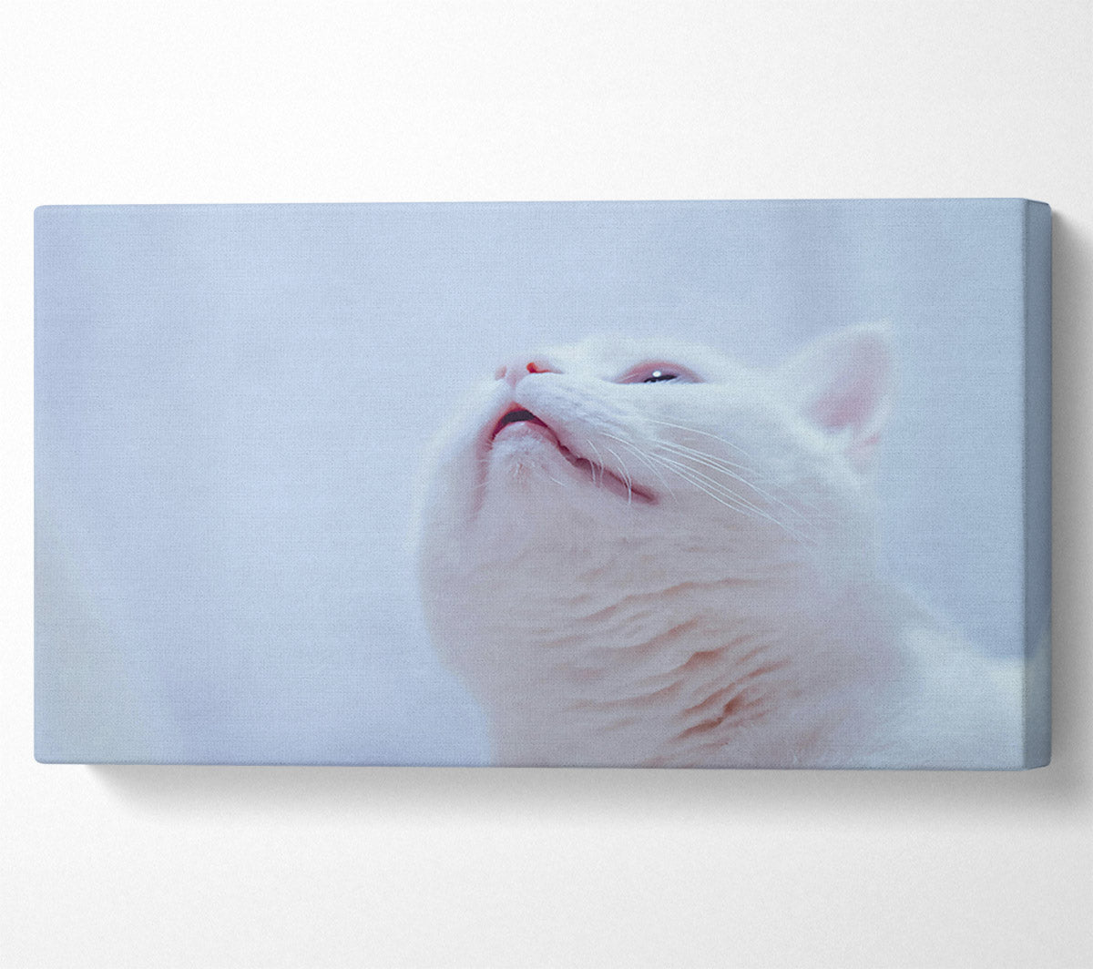 Whimsical White Gaze Canvas Wall Art