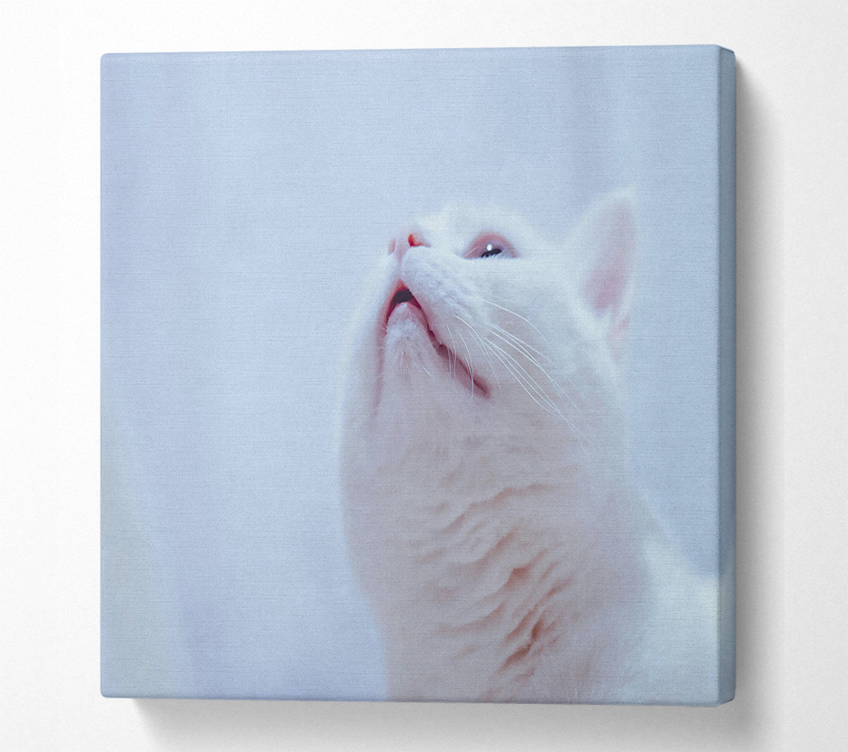 Whimsical White Gaze Canvas Wall Art