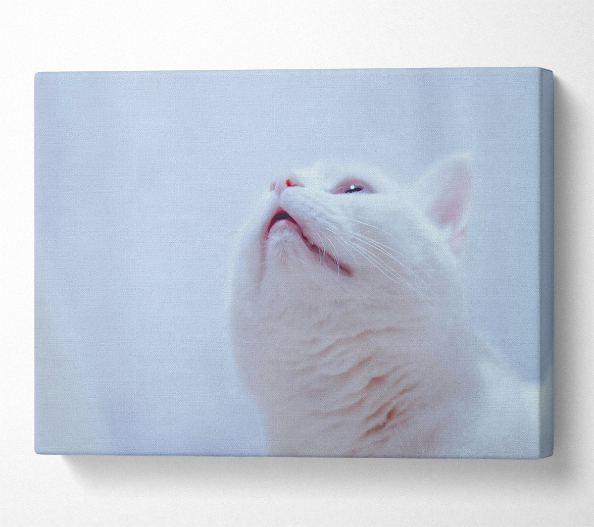 Whimsical White Gaze Canvas Wall Art