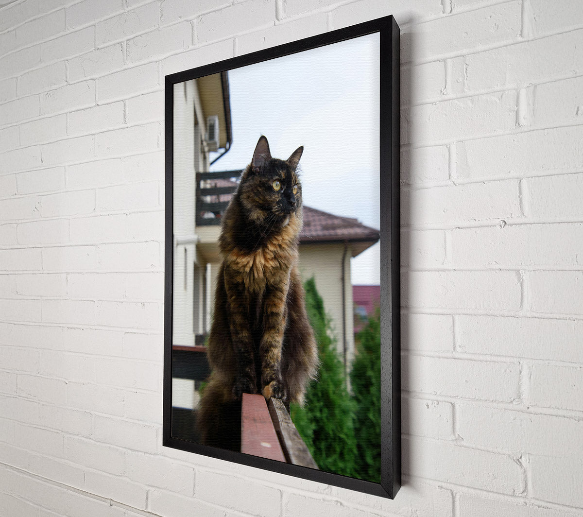 Tortoiseshell Cat On Railing Canvas Wall Art