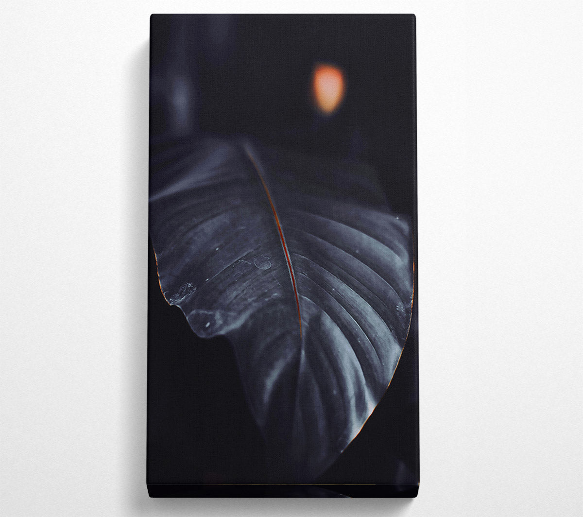 The Darkest Leaf Canvas Wall Art