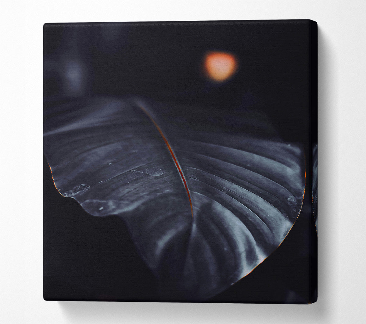 The Darkest Leaf Canvas Wall Art