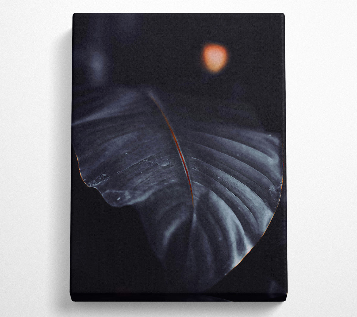 The Darkest Leaf Canvas Wall Art