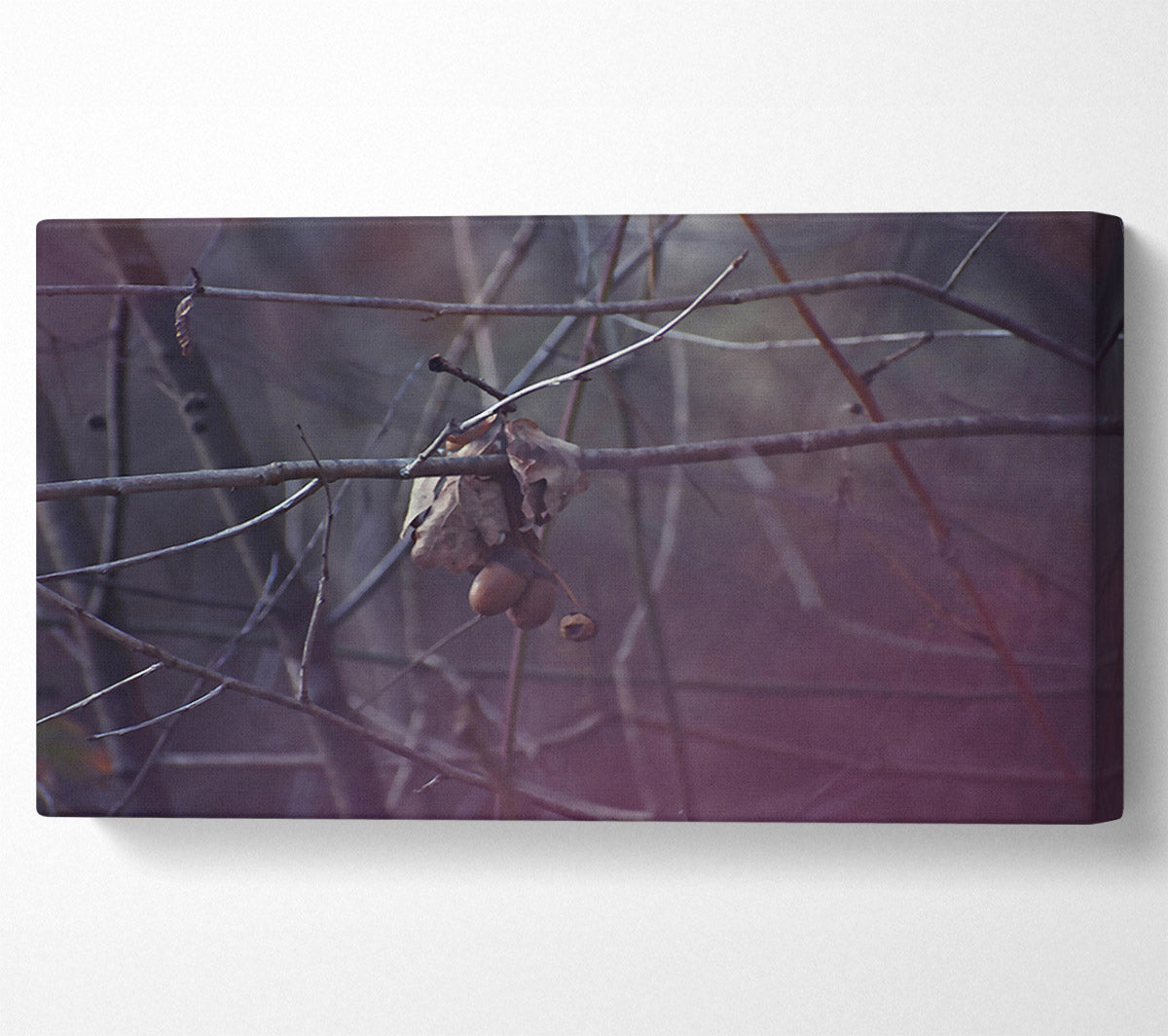Purple Branch Whisperings Canvas Wall Art
