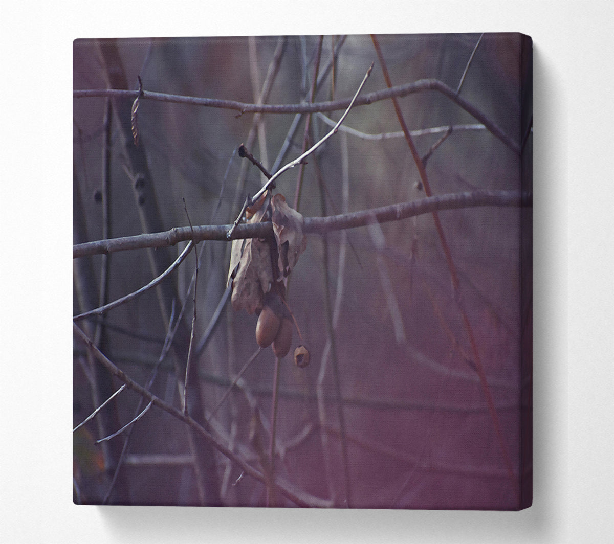 Purple Branch Whisperings Canvas Wall Art
