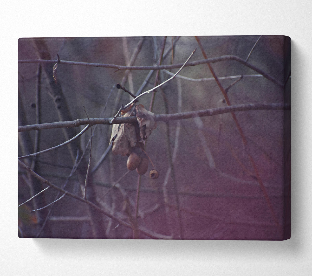 Purple Branch Whisperings Canvas Wall Art