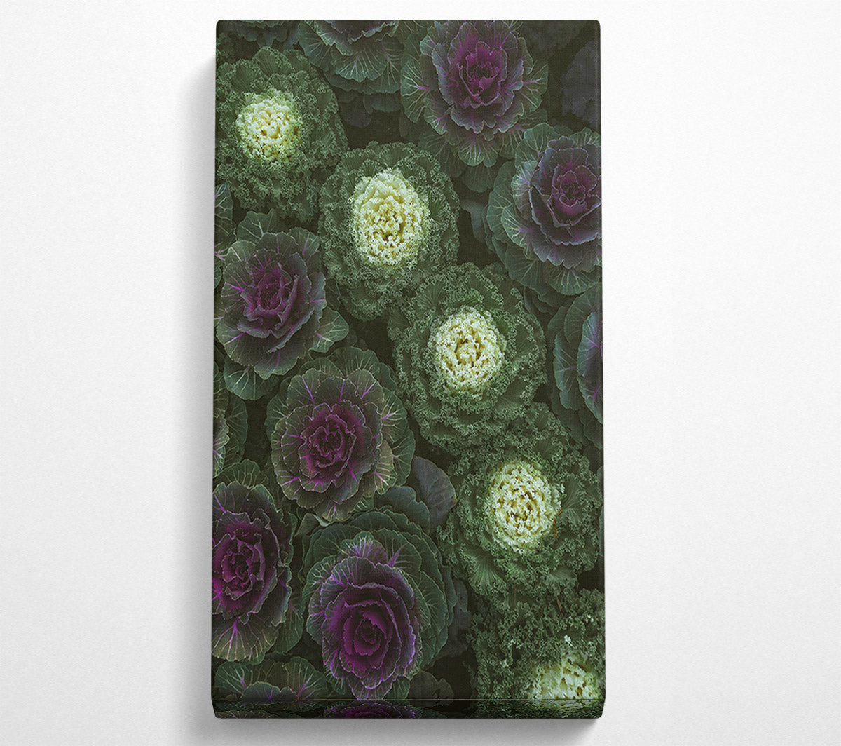 Purple And Green Blooms Canvas Wall Art