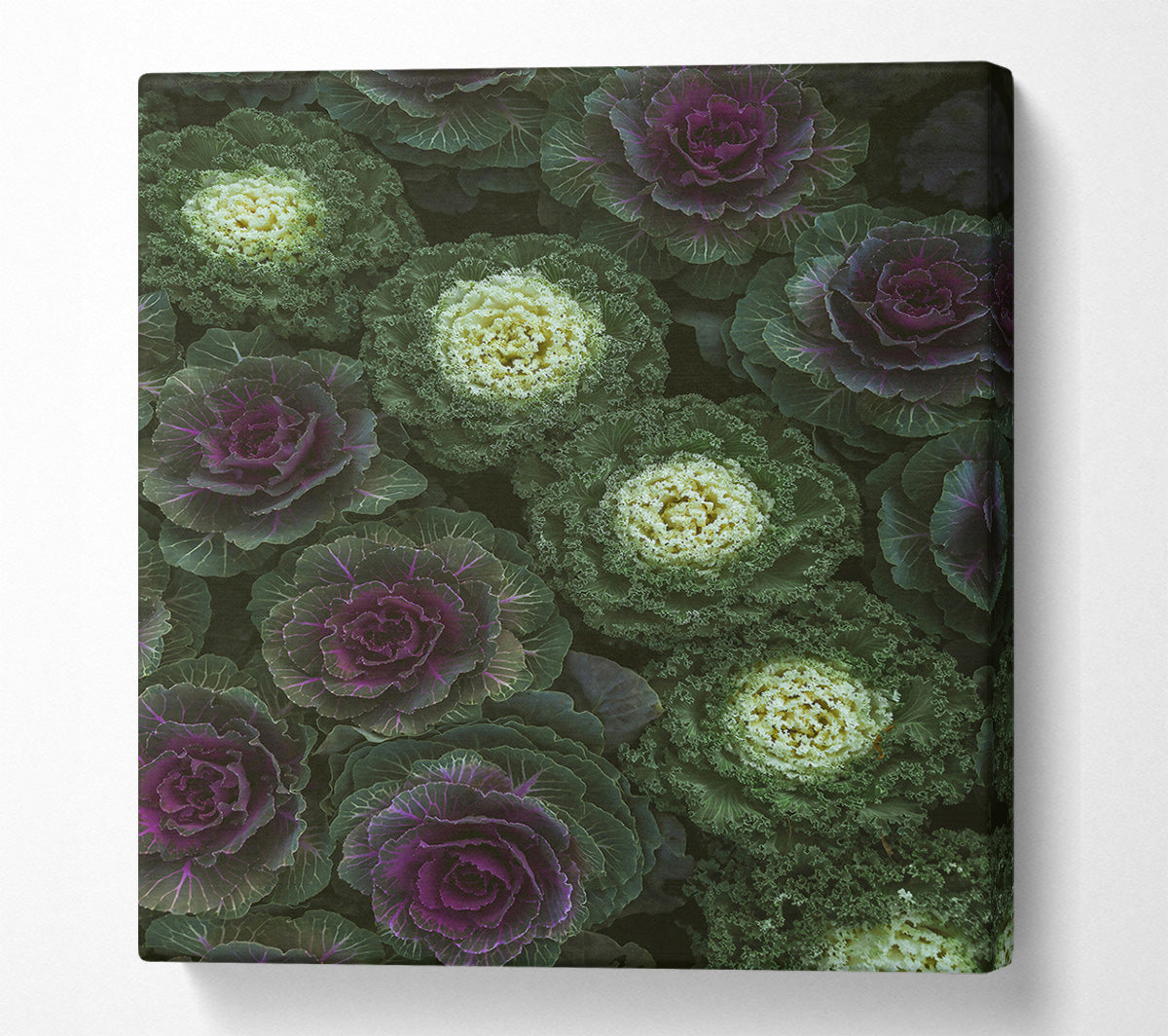 Purple And Green Blooms Canvas Wall Art