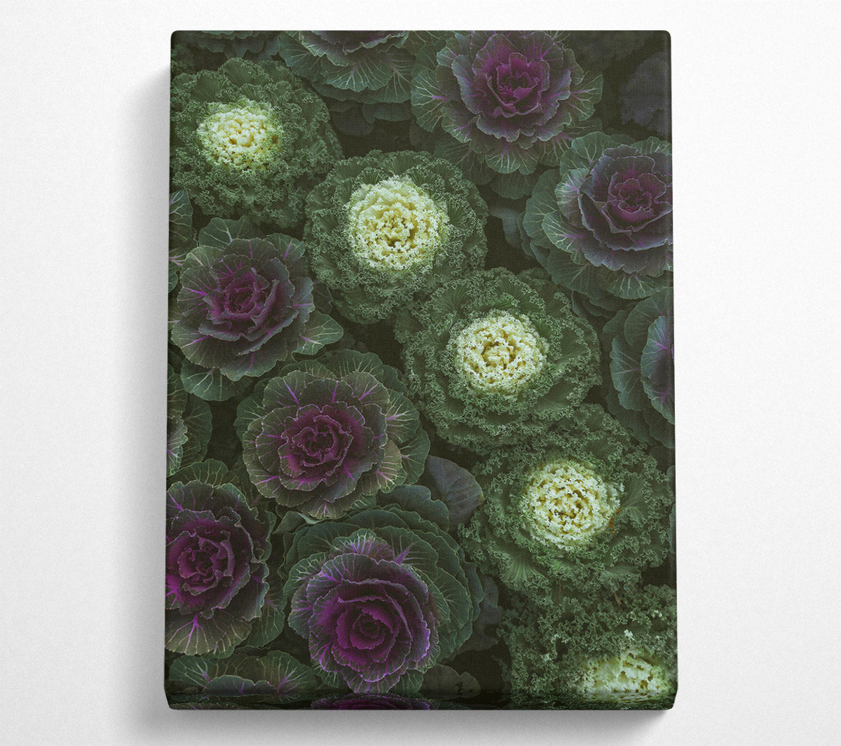Purple And Green Blooms Canvas Wall Art