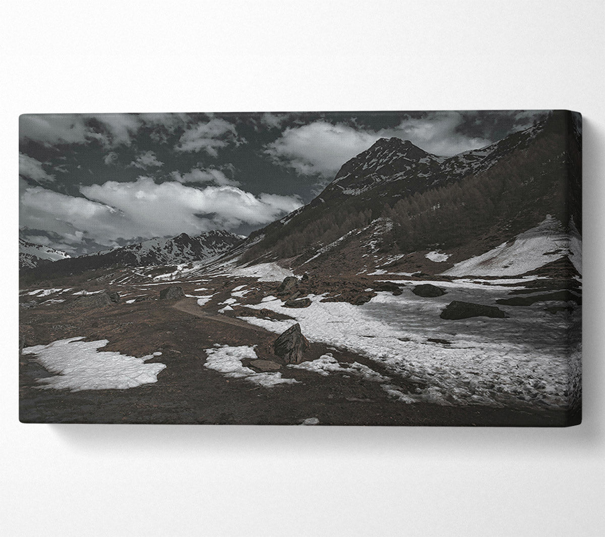 White Patches On Brown Canvas Wall Art