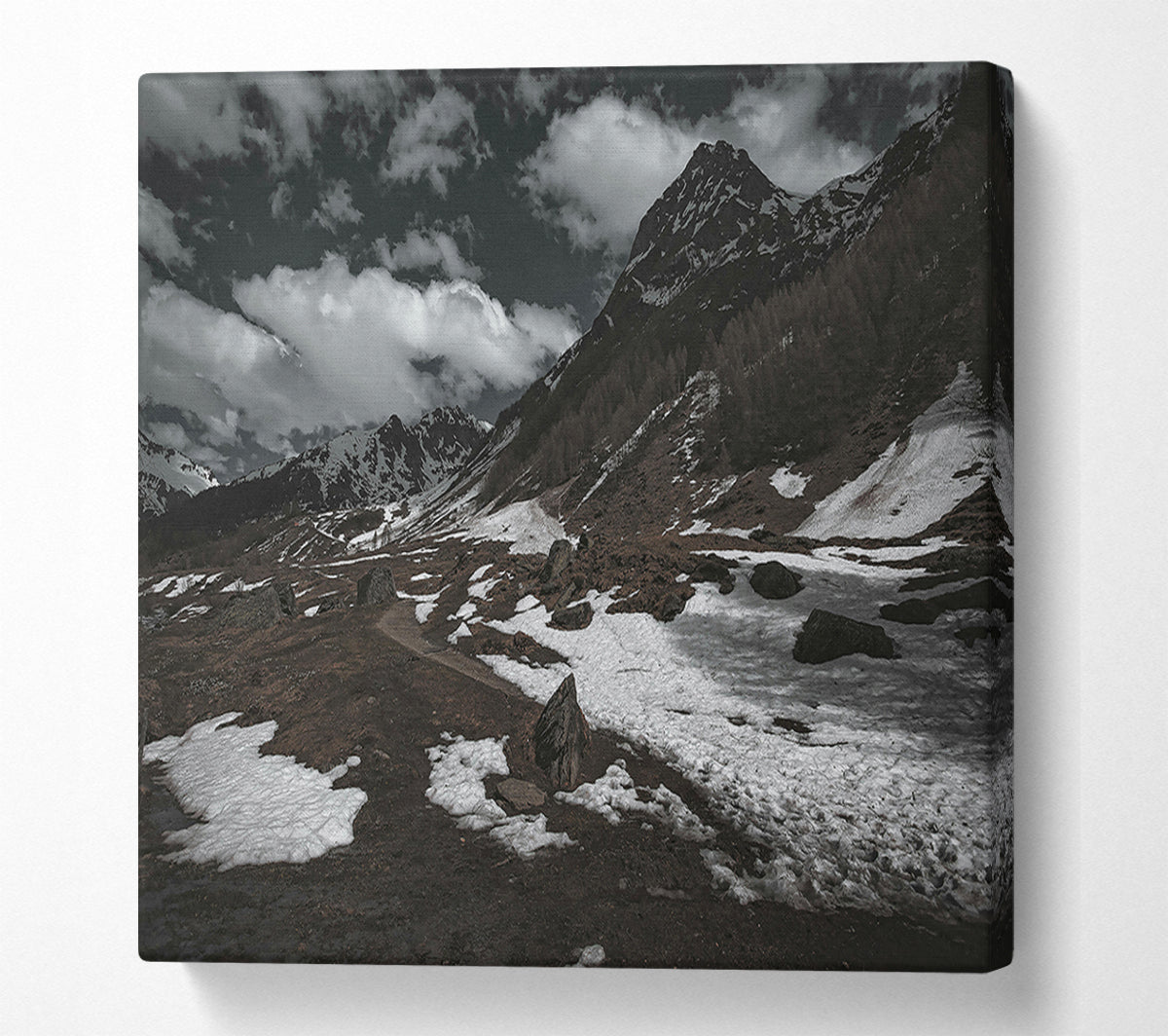 White Patches On Brown Canvas Wall Art