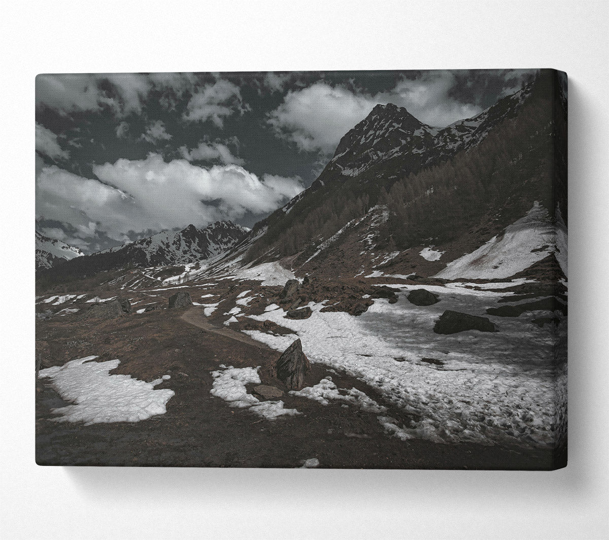 White Patches On Brown Canvas Wall Art
